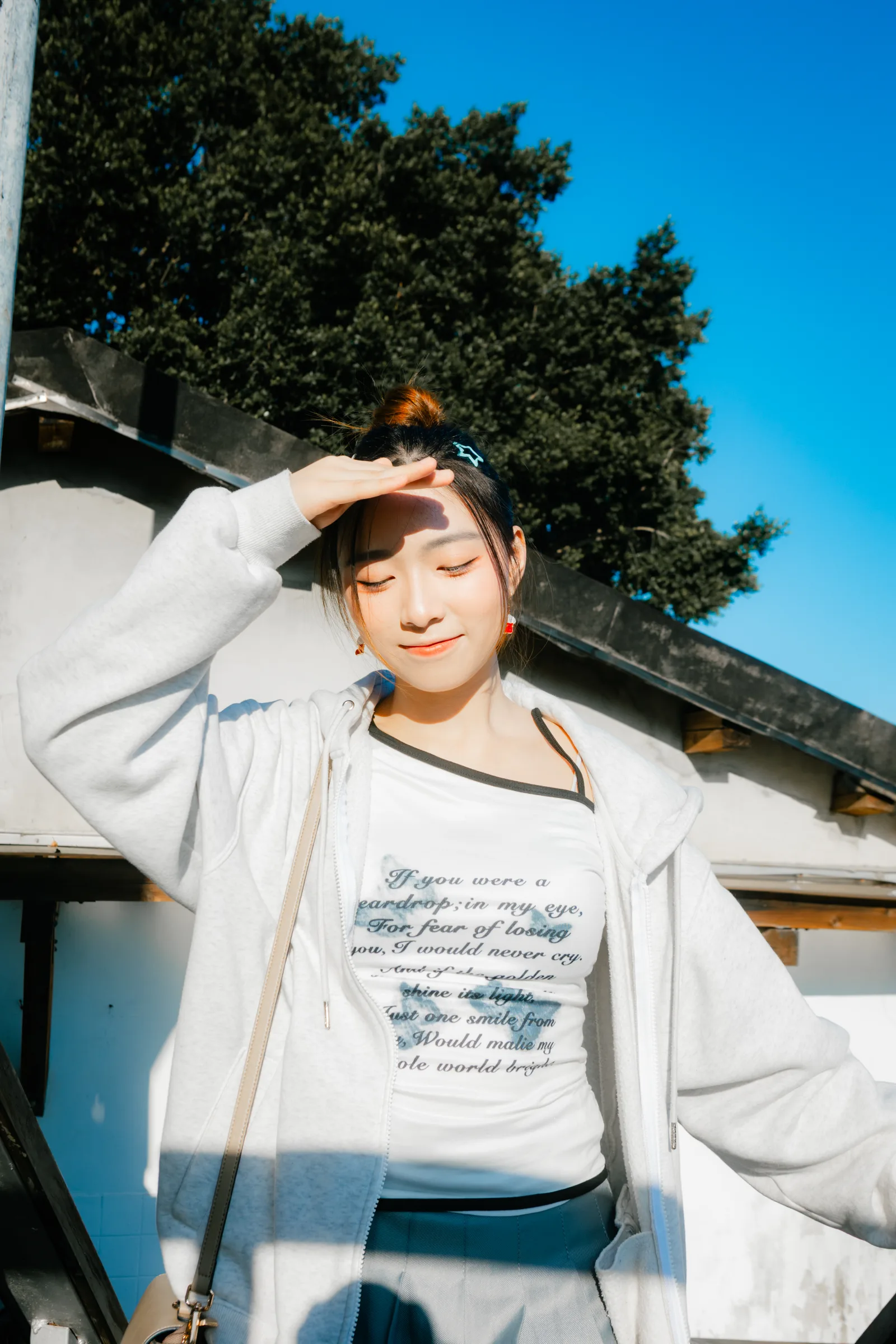 寶藏嚴示意 23