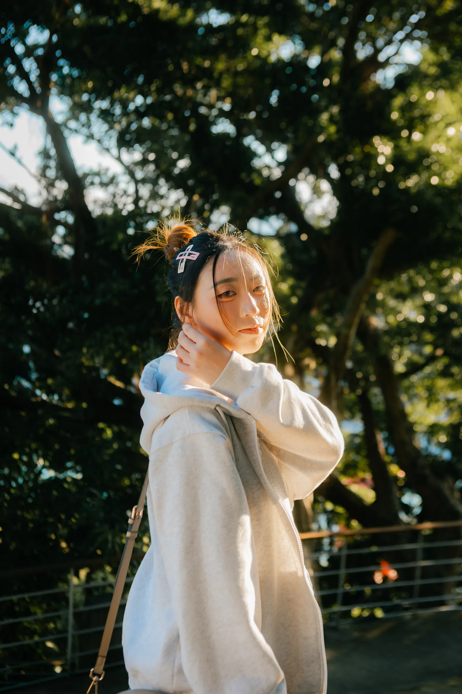 寶藏嚴示意 41
