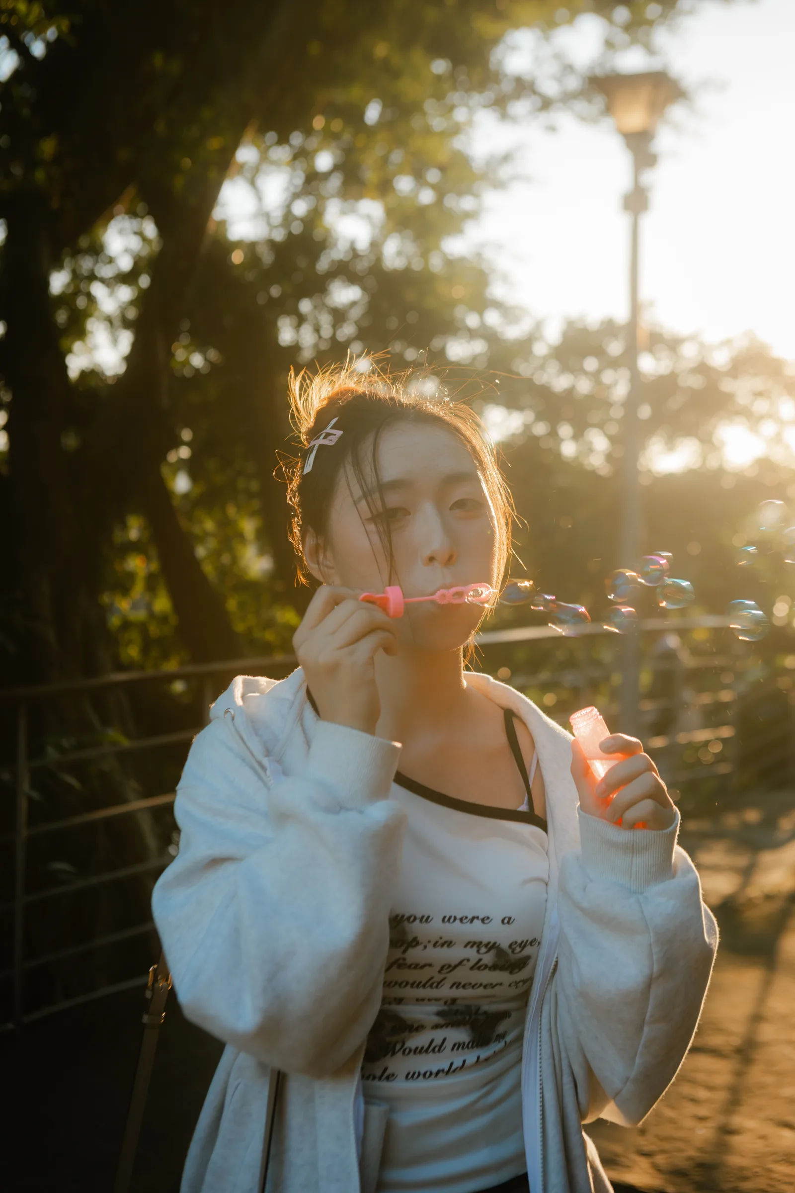 寶藏嚴示意 74