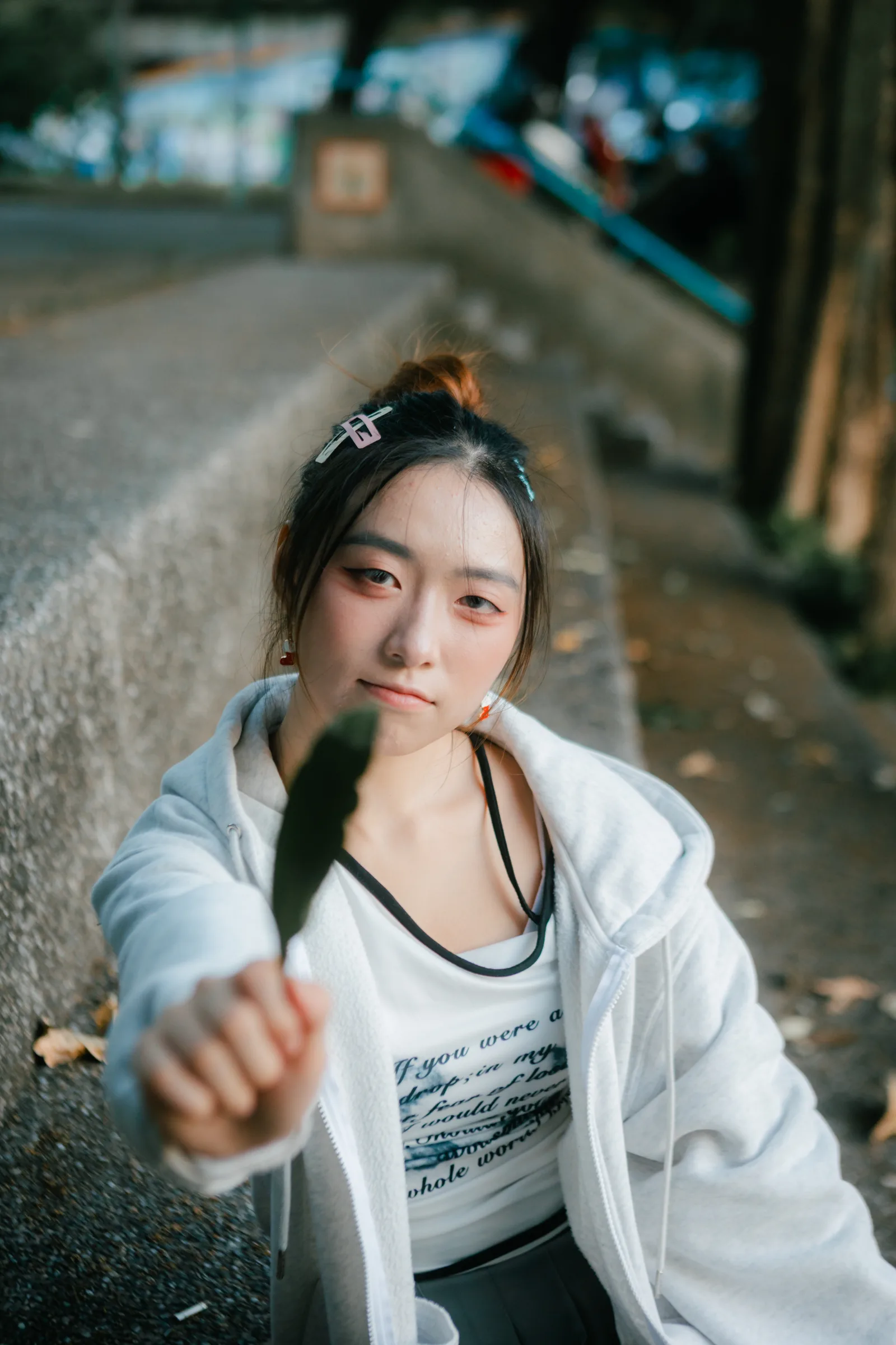 寶藏嚴示意 86