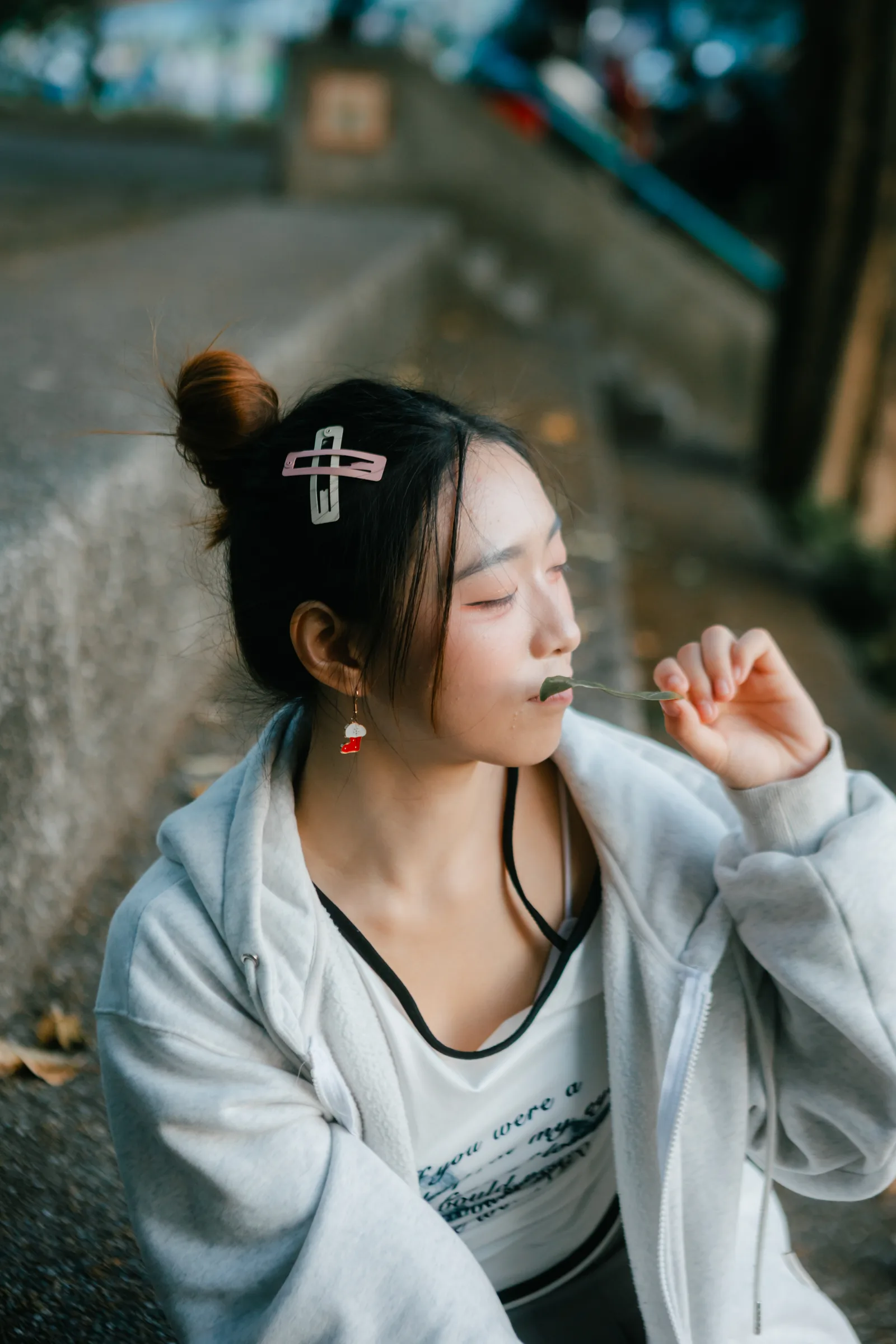 寶藏嚴示意 87