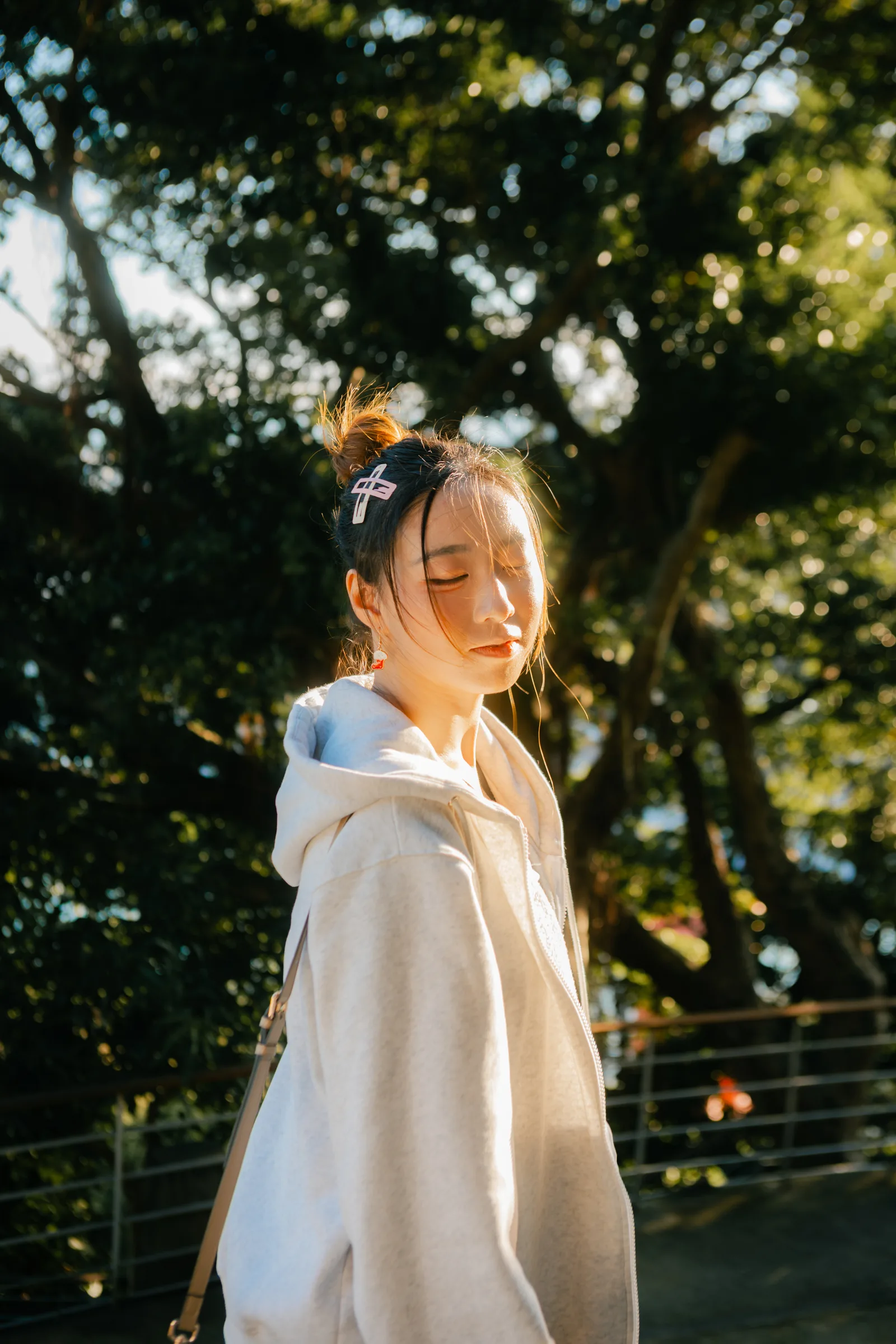 寶藏嚴示意